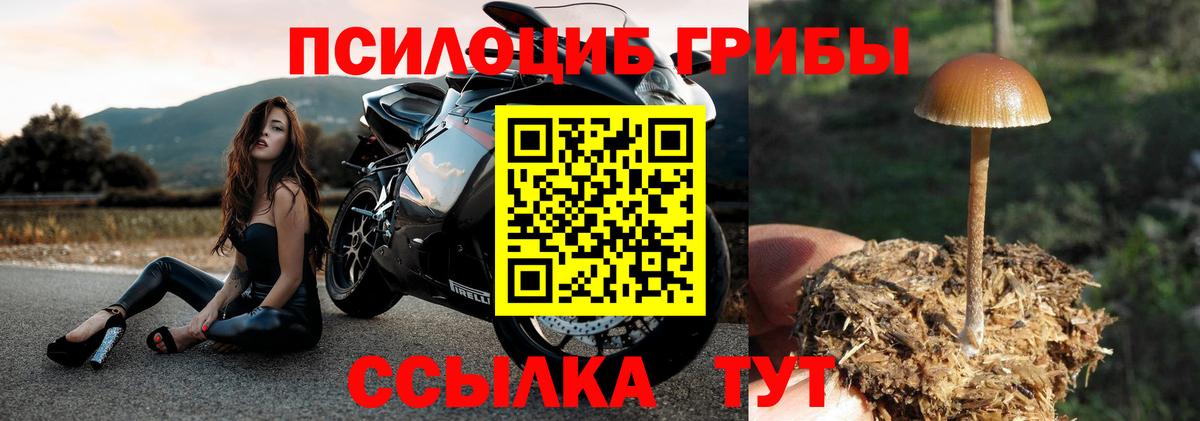 Галлюциногенные грибы Psilocybe  Вход с VPN  купить наркотики сайты  Трёхгорный  Псилоцибиновые грибы мухоморы 